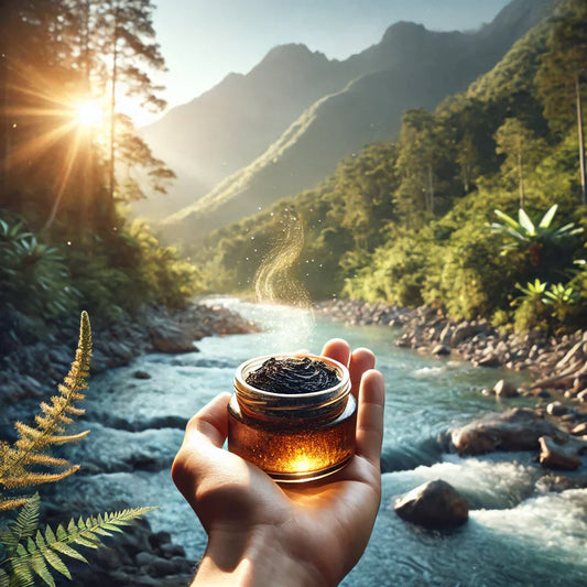 Salajeet – The Ancient Mineral Powerhouse for Energy & Vitality