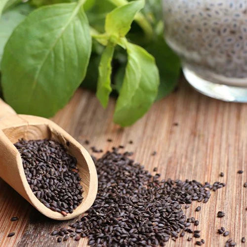 Tukhm-e-Malanga – A Cooling Superfood for Digestion, Detox & Weight Loss